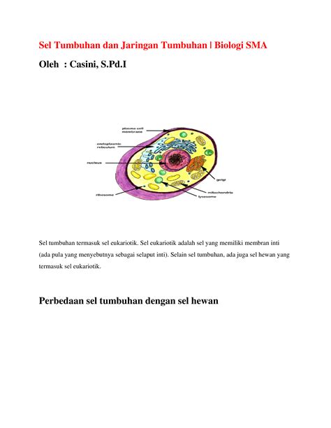 Docx Sel Tumbuhan Dan Jaringan Tumbuhan Dokumen Tips