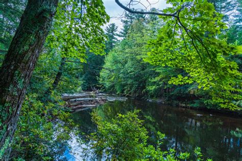 Hiking Southern NH - A Look at the Best Trails