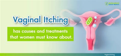 Vaginal Itching Female Genital Itching Causes And Treatments That Girls Need To Know