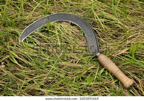 Historic Sickle For Cutting Grass