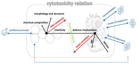 Ijms Free Full Text The Structurepropertiescytotoxicity Interplay