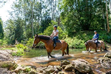 Horse Riding - NBCS