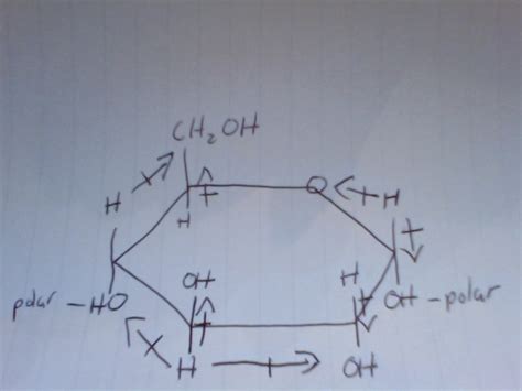 Chemistry Project Glucose Molecule For Sale