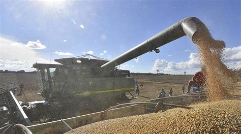 Observatorio Boliviano De Los Recursos Naturales Soya Prevén Cosechar Más Soya A Pesar De Las