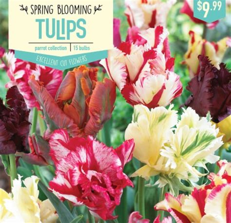 Garden State Bulb Tulip Parrot Collection Bulbs Count Ct Frys