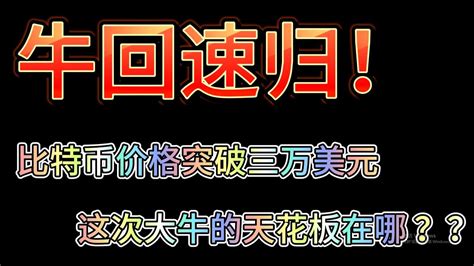 狂暴比特币大涨牛市提前开启是暴富的机会还是泡沫的幻影其实这组数据已经提前告诉你答案了 YouTube