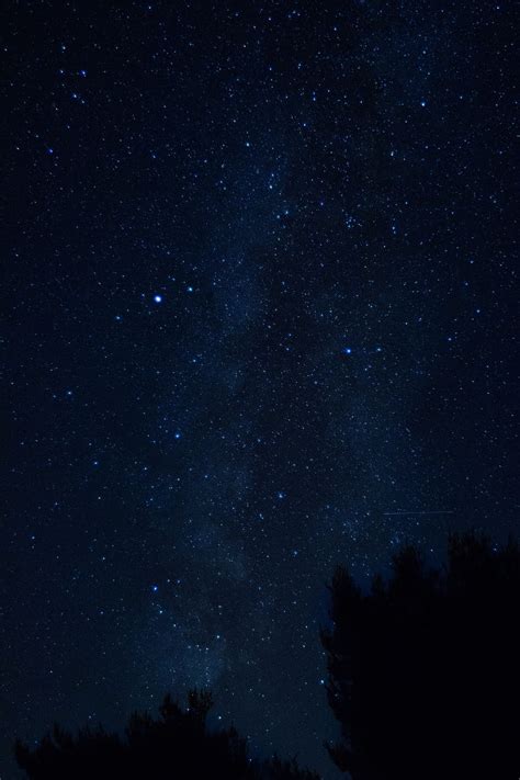 Nature Trees Night Starry Sky Croatia Hd Phone Wallpaper Pxfuel