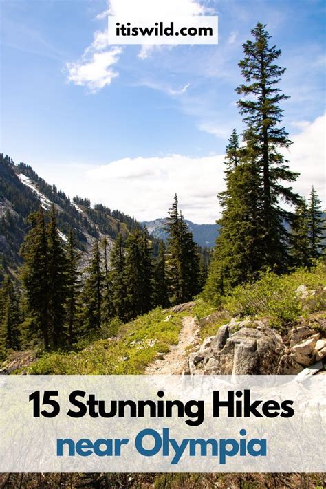 15 BEST Trails for Hiking and Running in Olympia WA in 2024 | Olympia ...