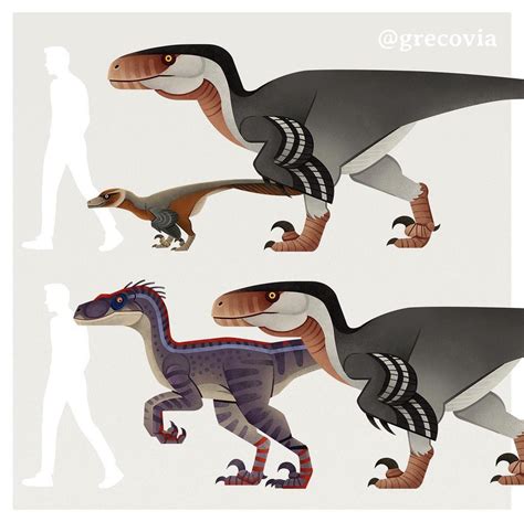 Velociraptor Size Comparison Jurassic Park