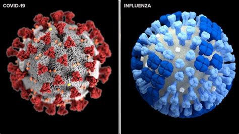 Covid Vs The Flu Cool Springs Internal Medicine Pediatrics Pllc