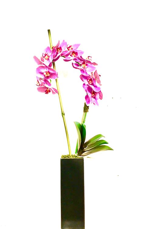 Orchid Glass Vase Orchids Arrangement