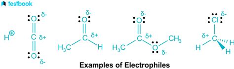 Difference Between Electrophile And Nucleophile: Meaning, Reaction