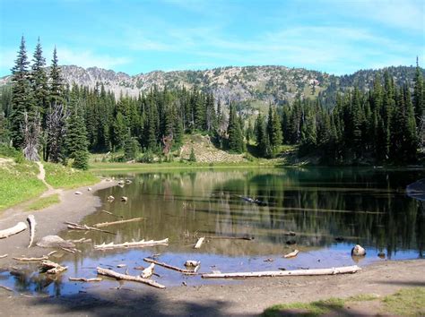 Hike the Sunrise Rim Trail | Visit Rainier