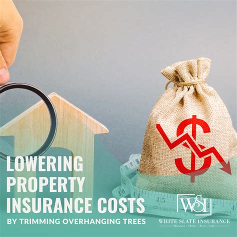 Lowering Property Insurance Costs By Trimming Overhanging Trees