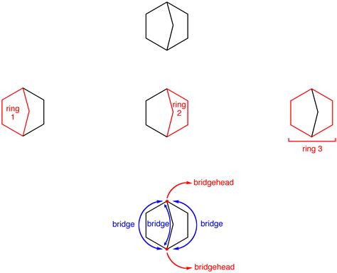 49 Conformations Of Polycyclic Molecules Chemistry Libretexts