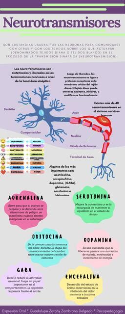 Neurotransmisores Zary Zamdle Udocz