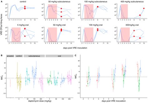 Emergence Of Daptomycin Resistant Vr E Faecium In Mouse Gi Tracts Download Scientific Diagram