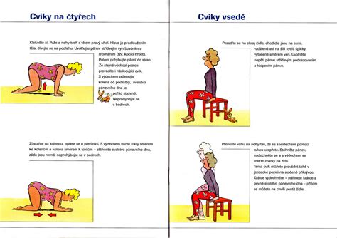 Cviky Na Zpevn N P Nevn Ho Dna Gynekologie Maxima