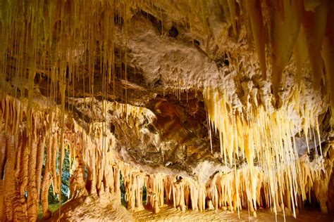 Glow Worms & The Mole Creek Caves | Fun Tassie Tours