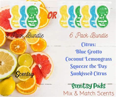 Scentsy Pod Bundles Scentsy Scentsy Buddy Coconut Lemongrass