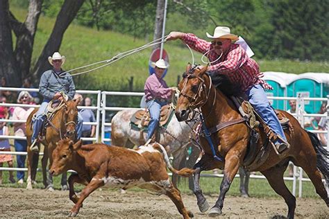 Calf Roping at the Ellicottville Rodeo