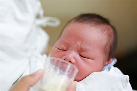 Baby Drinking The Milk From The Breast Stock Image - Image of love ...