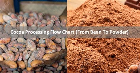 Cocoa Processing Flow Chart From Bean To Powder Cocoa Machinery