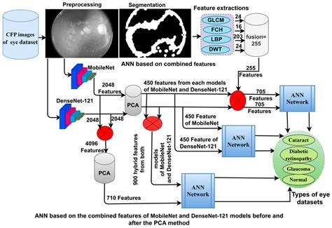 Diagnostics Free Full Text Automatic Classification Of Colour