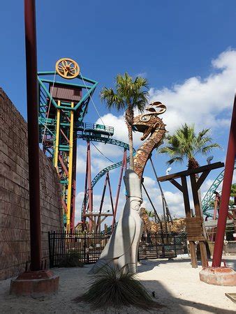 Orlando Tampa Busch Gardens Shuttle 2021 All You Need To Know