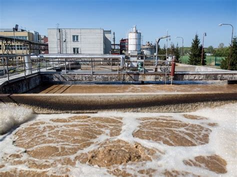 O Possui Muitas Funções No Organismo Como Na Coagulação Sanguínea
