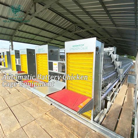 Battery Fully Automatic Poultry Equipment A Type Chicken Layer Cage For