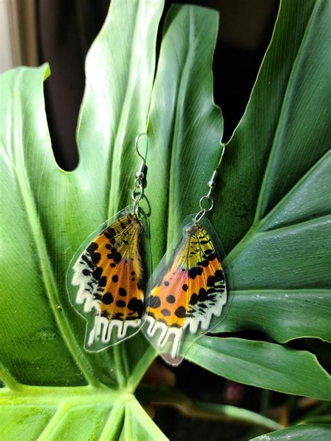 Real Butterfly Wing Earrings Sunset Moth Jewelry Etsy