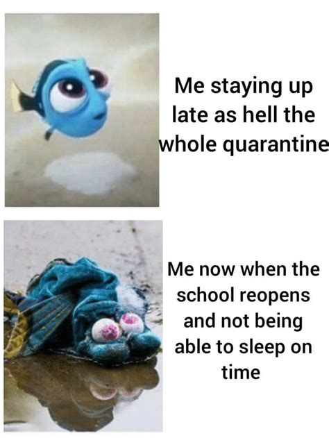 My Sleep Schedule Is So Messed Up R Memes