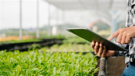 Sistema nacional de cadastro ambiental rural passa por migração