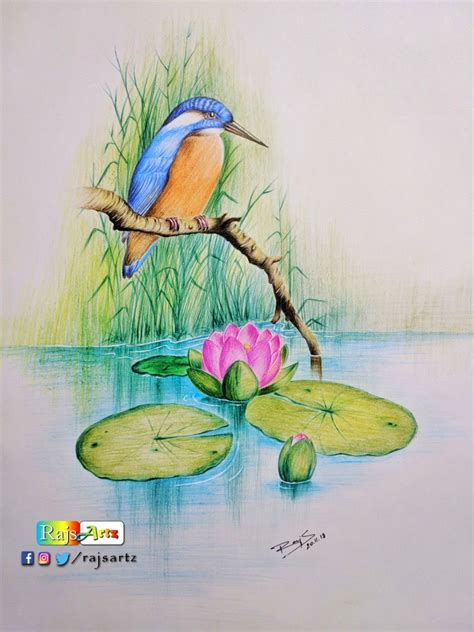 Quiet Nature- Color Pencil Art | Nature art drawings, Nature drawing ...