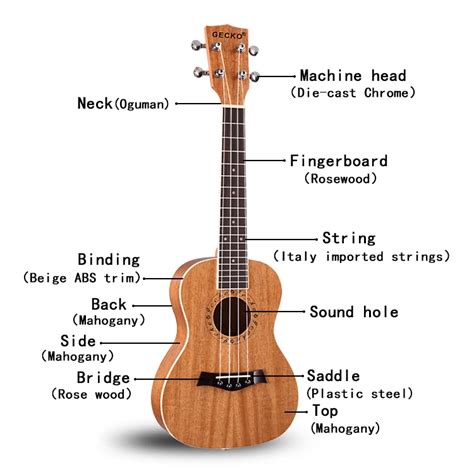 Anatomy Of A Ukulele A Visual Guide