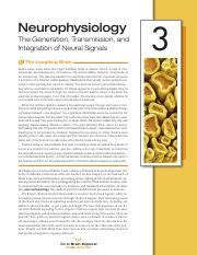 Chapter Neurophysiology Pdf Neurophysiology The Generation