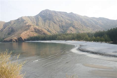 Baron the Explorer: Anawangin Cove of Zambales: Pine Trees by the shore