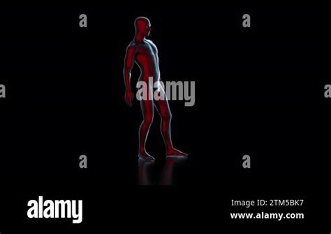 Basic Human Male Figure Standing And Waiting Camera Rotating Around