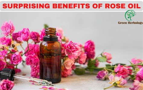 Benefits Of Rose Essential Oil Sale Online Cityofclovis Org