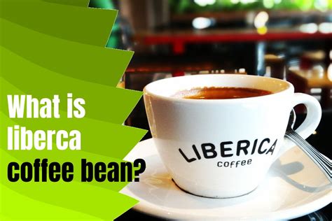 Liberica Coffee - Benefits, Features, Taste And Types Of Brands Of This ...