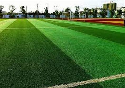 Coloca O De Grama Para Campo De Futebol Society Cavalcante Grama