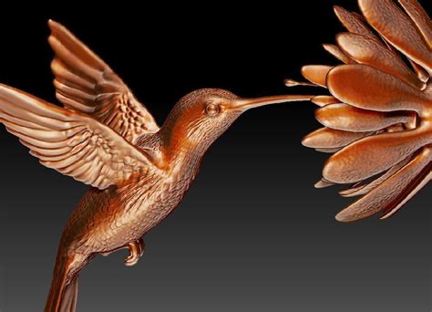 Hummingbird Model With Flower 3D Model 3D Printable CGTrader