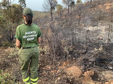 Mayor presencia de la mujer en la profesión de agente forestal Aggregatte