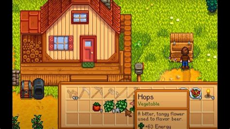 Stardew Valley How To Make Pale Ale Vgkami