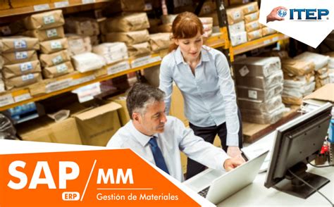 SAP Gestión de Materiales Instituto ITEP