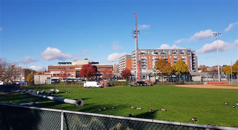 Rénovations du stade Gary Carter 2023 Projets terminés Agora Montréal