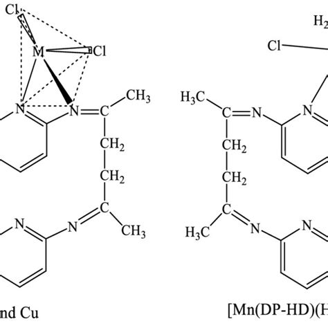 The Suggested Complexes Structure Download Scientific Diagram