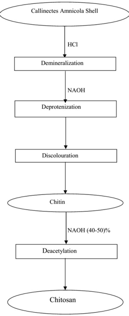 Figure Flow Chart Showing The Synthesis Of Chitosan From Callinectes