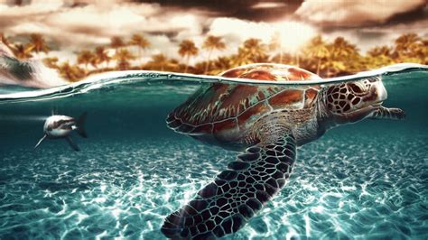 Tropical Sea Turtle Journey: Animated Wallpaper — Wallpaper Engine Space